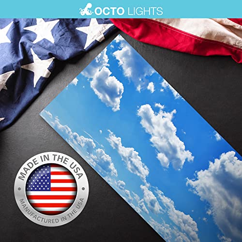 OCTO LIGHTS Fluorescent Light Covers for Classroom Office - Eliminate Harsh Glare Causing Eyestrain and Headaches. Office & Classroom Decorations - Cloud 001-2pk | ASTM E84 & UL723 Fire Safety Certified | Reduces Glare & Eye Strain | Easy Drop-In Install