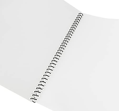Rayson 3:1 Pitch Plastic Spiral Binding Coils, 7/16" Diameter, 11.1mm, Binds Up to 80 Sheets, Letter Size (8.5" x 11"), Black, Pack of 100 - size: 7/16 inch (80 Sheet Capacity)