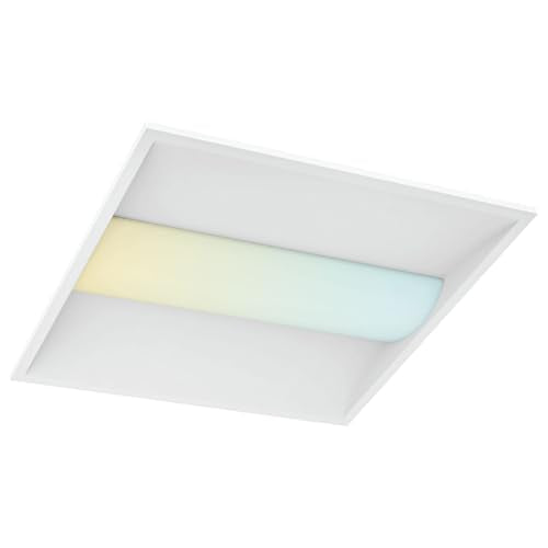 LUXRITE 2x2 FT LED Troffer Light, Center Basket Panel, 5CCT (3000K-6000K), 5 Wattage Selectable (20W-40W), 2500-5000 Lumens, 0-10V Dimmable, 120-277V, ETL Listed, Damp Rated, DLC Premium - size: 1 Count (Pack of 1)
