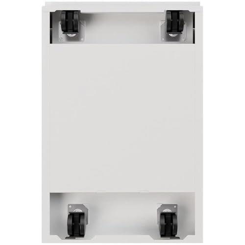 Hirsh Industries 2 Drawer Mobile Pedestal File Finish: Pearl White