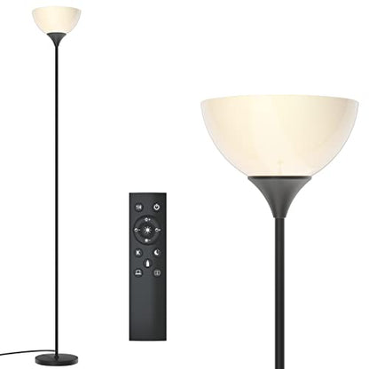 PESRAE Floor Lamp, Remote Control, Stepless Brightness & Color Temperature - color: Matte Black