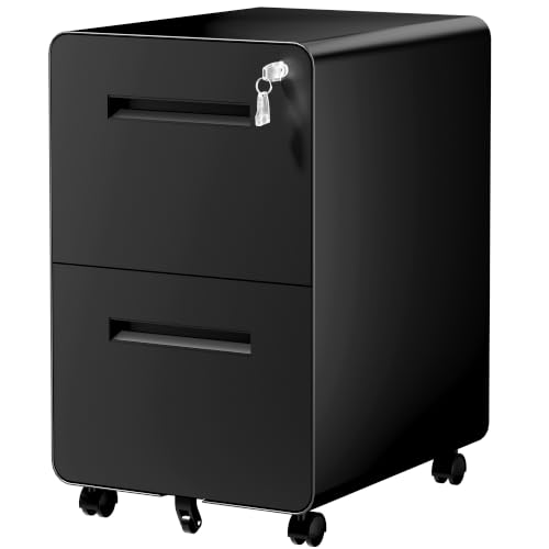 SAWJEC 2 Drawer File Cabinet with Lock, Fully Assembled Mobile Cabinet - color: 04b-black