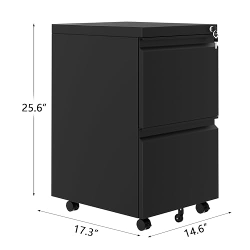 2 Drawer File Cabinet with Lock, Vertical Filing Storage Cabinet, Metal Filing Cabinets, Steel Lockable Storage Cabinets for Home Office, Legal/Letter Size File - size: 2 Drawer