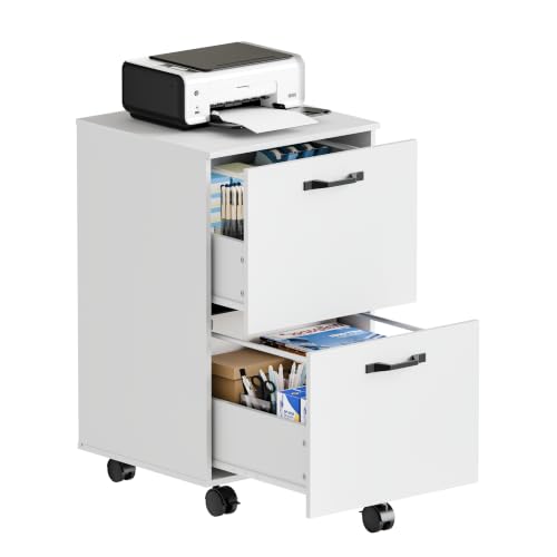 Sweetcrispy 2-Drawer Rolling File Cabinet, Under Desk Storage, White