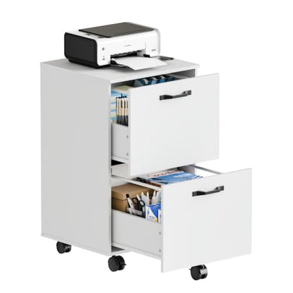 Sweetcrispy 2-Drawer Rolling File Cabinet, Under Desk Storage, White