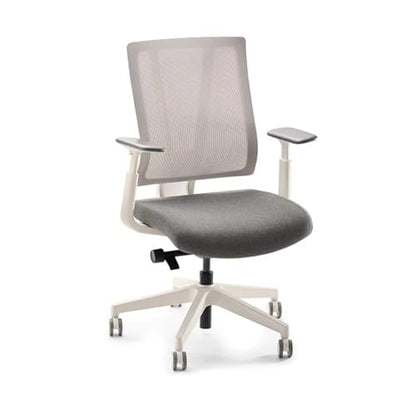 Clarksville Ergonomic Office Chair, Adjust Lumbar Support, Fog | Mesh Back Office Chair, Synchro-Tilt Recline Home Office Desk Chairs with 3-Way Arms, 300 lb Capacity Computer Chair - color: Fog