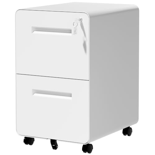 SAWJEC 2 Drawer File Cabinet with Lock, Fully Assembled, White - color: 04w-white