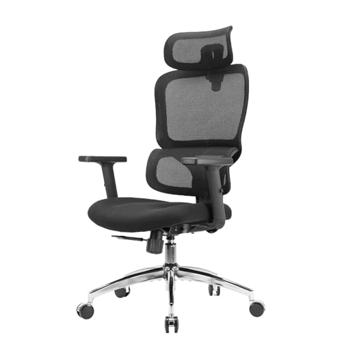 SIHOO M56 Ergonomic Office Chair, Dual Backrest, Adaptive Lumbar Support - color: Dark Black, size: Pack of 1