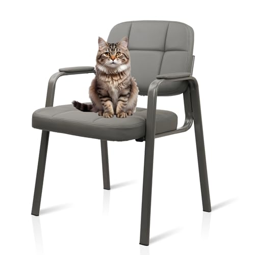 CLATINA Office Reception Guest Chair No Wheels, Leather Stationary Waiting Room Chairs with Padded Arms for Elderly Desk Conference Room Lobby Table Side Salon Grey - color: Grey, size: 1 Pack