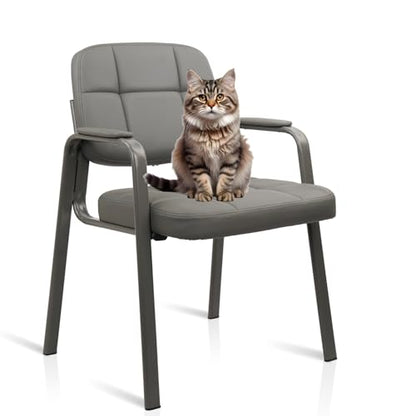 CLATINA Leather Stationary Office Reception Guest Chair, Comfy Waiting Room Chairs with Padded Arms for Reception Conference Elderly Side Office Desk Home Conference Room Lobby Table, Grey - color: Grey, size: 1 Pack