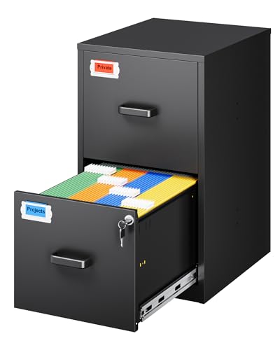 PEUKC 2 Drawer File Cabinet with Lock, 25.4" High Vertical Filing Cabinet, 17.7" Deep Metal Storage Cabinets for Home Office, Letter/Legal/A4/F4 Size, Black(Assemble Required) - color: Black, size: 25.4"H