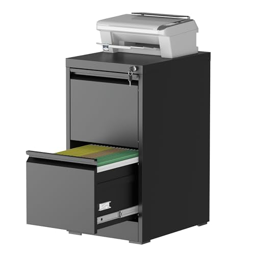 2 Drawer File Cabinet with Lock, File Cabinet, Steel Vertical Filing Cabinets for Home Office, Heavy Duty File Storage Cabinet for Legal/Letter/A4 Documents, Easy to Assemble, Black - color: Black, size: 2-Drawer