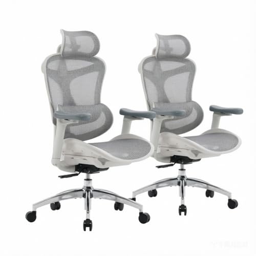 SIHOO Doro C300 Ergonomic Office Chair with Ultra Soft 3D Armrests | Dynamic Lumbar Support for Home Office Chair, Adjustable Backrest Desk Chair, Swivel Big & Tall Computer Chair, 2Pcs Grey - color: Light Grey, size: Pack of 2