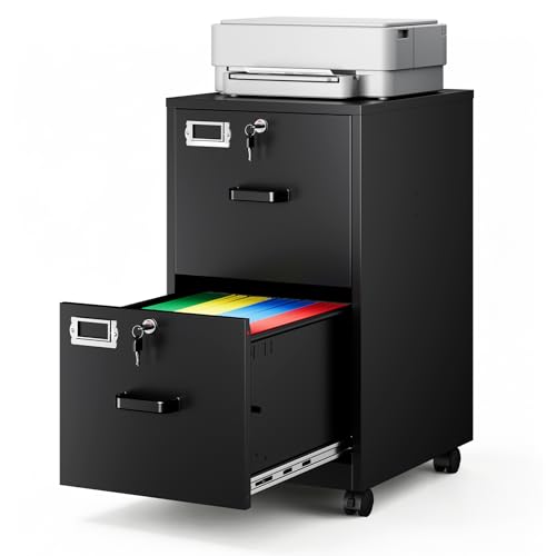 2-Drawer File Cabinet with Lock, Mobile Vertical File Cabinet for Hanging A4/Letter/Legal Size Folder, Under Desk Rolling Filing Cabinets for Home Office, Assembly Required,Black - color: Black, size: 15"W x 27.4"H x 17.7"D