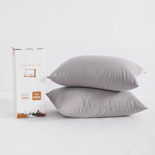 BEDSUM Toddler Pillows 13x18 Microfiber: Travel Inserts, 2 Pack, Light Grey | Soft brushed microfiber, 13x18 size, 2 pillow inserts, machine washable, lightweight for daycare, travel, and home use - color: Light Grey, size: 13x18 inches