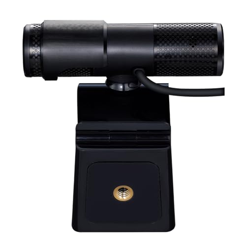 AVerMedia Live Streamer Cam 313 - Full HD 1080P Webcam with Privacy Shutter, Dual Microphone, 360 Degree Swivel for Video Conference - NDAA Compliant (PW313) - style: 1080p30 Fixed Focus