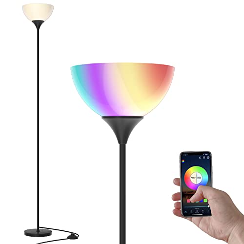 PESRAE RGB Floor Lamp, Stepless Brightness & Color Temperature - color: Matte Black RGB