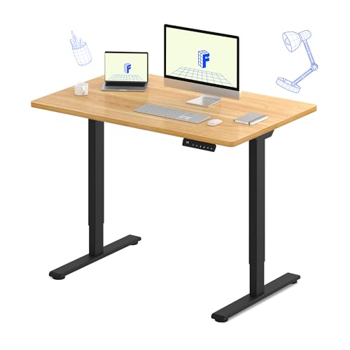 FLEXISPOT E3 Dual Motor Electric Standing Desk 48 x 24 Sit Stand Up Desk, Holds 220 lbs, Adjustable Height w/Memory Presets, One-Piece Maple Desktop & Black Frame, Ships in 2 Boxes - color: Black Frame + Maple Top, size: 48"x24" Whole-piece