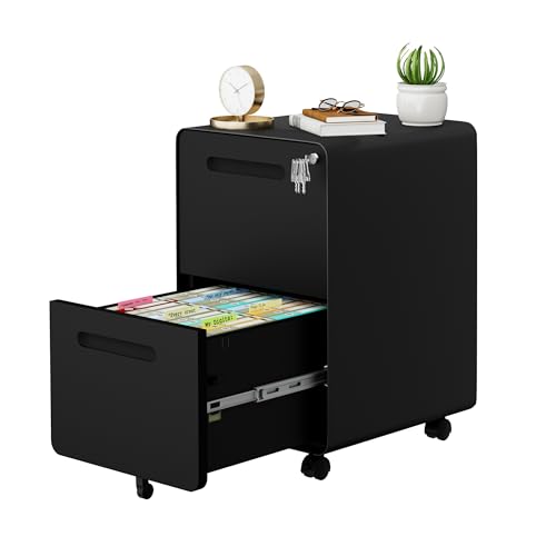 2 Drawer Mobile File Cabinet with Lock, 4 Keys and 25 Letter File Folders | Heavy-Duty Steel Rolling Filing Cabinet Pre-Assembled Under Desk for Home Office Letters/Legal/A4 Hanging File Folders - color: Black, size: 25.8"H*15.7"W-2 drawers(25 letter fold