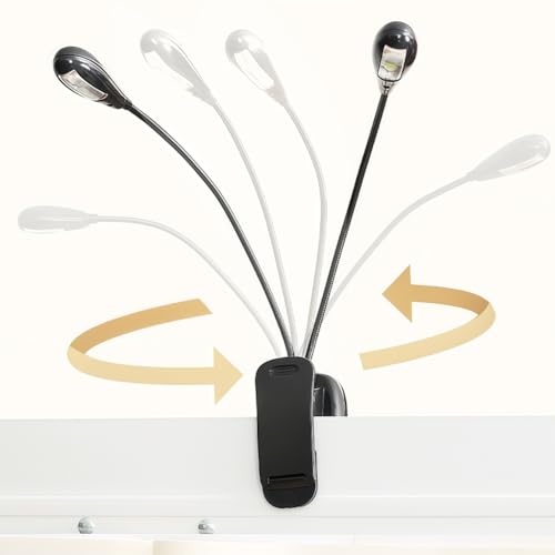 Joyzan Music Stand Light, Clip on LED Book Lights Dual Arm Reading Lamp | Eye Cared 360°Flexible Gooseneck USB Desk Rechargeable Clamp Mini Bed Bookworms Piano Player Travel Orchestra - size: 8 beads