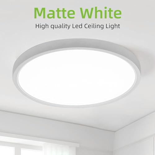 hykolity 12 Inch Selectable CCT LED Round Flat Panel Light,2 Pack | 24W 3000K/4000K/5000K, Edge-Lit Flush Mount Ceiling Light Fixture for Kitchen, Bedroom, Laundry and Closet Room,White - color: White, size: 12 inch