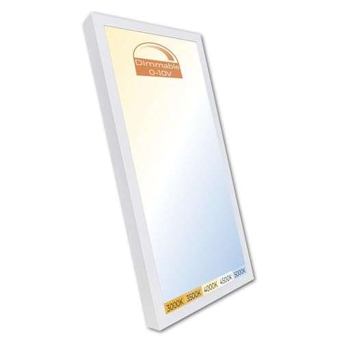 LED ATOMANT 1x2 LED Surface Mount Panel Light 40W 4000LM, 5CCT Selectable 3000K/3500K/4000K/4500K/5000K, Power Selectable 20W to 40W, Dimmable with 0-10V Dimmer - size: 1 Unit