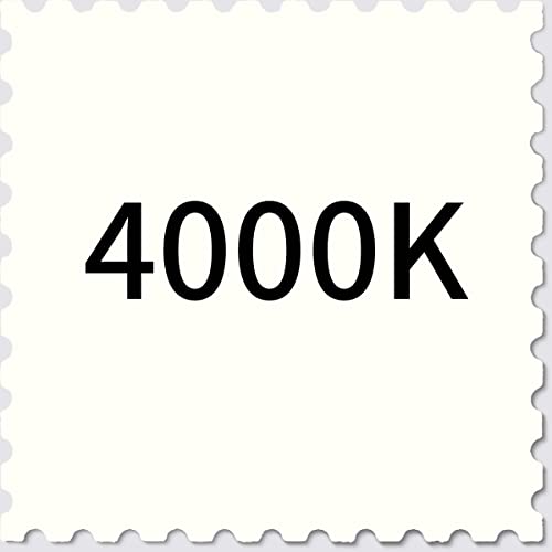 ASOKO Dimmable Under Cabinet Lighting for Kitchen - 6 Pcs 12 inches Linkable Counter Light Bars, Led Closet Light Daylight White 4500K,DC24V 1360Lumens,20W Led Shelf Lighting (ETL Plug) - color: Daylight White 4500K, size: Manual switch-6 pack