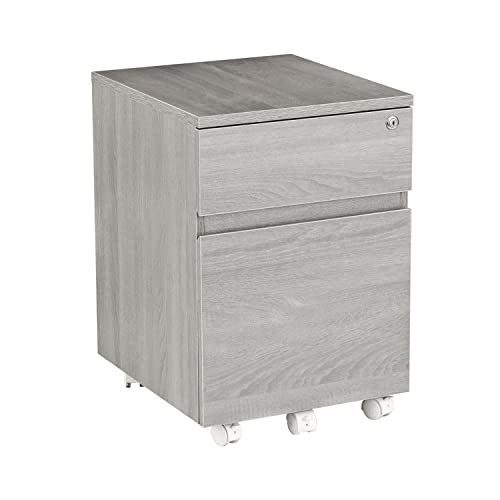 2‑Drawer Rolling File Cabinet with Lock, Under‑Desk Storage & Wheels, Grey