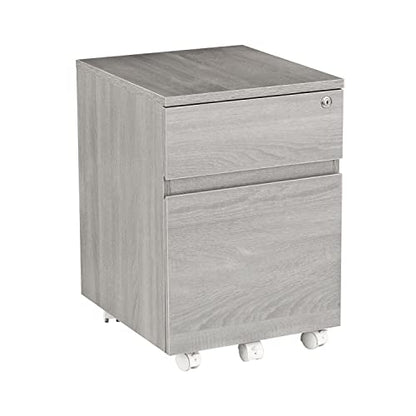 2‑Drawer Rolling File Cabinet with Lock, Under‑Desk Storage & Wheels, Grey