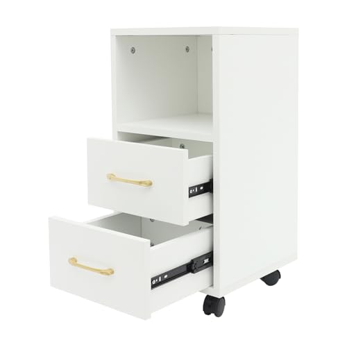 Rolling Container with 2 Drawers, Filing Cabinet, Mobile Office Cabinet with Open Compartments, Hanging File Compartments, for A4 and Letter Size, for Office, Bedroom, Living Room