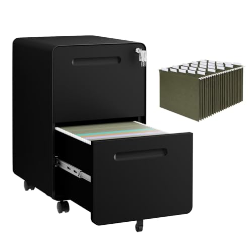 2 Drawer Mobile File Cabinet with Lock, 4 Keys and 25 Letter File Folders | Heavy-Duty Steel Rolling Filing Cabinet Pre-Assembled Under Desk for Home Office Letters/Legal/A4 Hanging File Folders - color: Black, size: 25.8"H*15.7"W-2 drawers(25 letter fold
