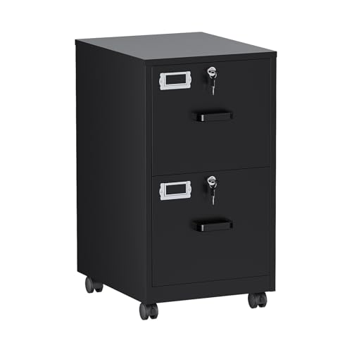 BYNSOE 2 Drawers File Cabinet with Lock Metal Vertical File Cabient with Wheels Mobile File Cabinet for Office Home Legal/Letter/a4 Size Require Assembly - color: Black, size: 27.36"H x 17.71"D x 15"W
