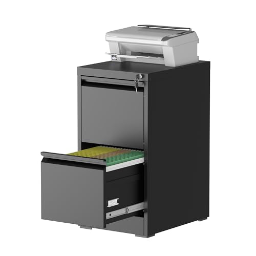 2 Drawer File Cabinet for Home Office, Vertical Filing Cabinet | Metal Lockable File Cabinet for Storage, Ideal for Legal/Letter/A4 Files, 28.8"H x 17.7"D x 15.2"W, Require Assembly, Black - color: Black, size: 28.8"H - 2 Drawer