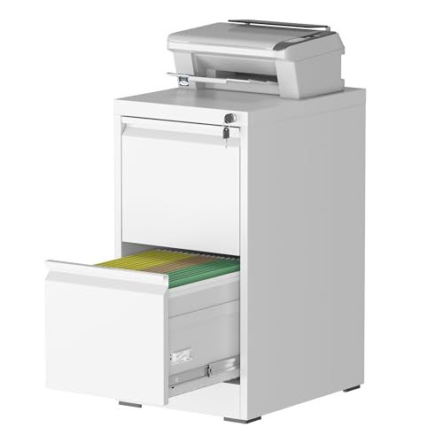 File Cabinet, 2 Drawer File Cabinet with Lock, Steel Vertical Filing Cabinets for Home Office, Heavy Duty File Storage Cabinet for Legal/Letter/A4 Documents, Easy to Assemble, White - color: White, size: 2-Drawer