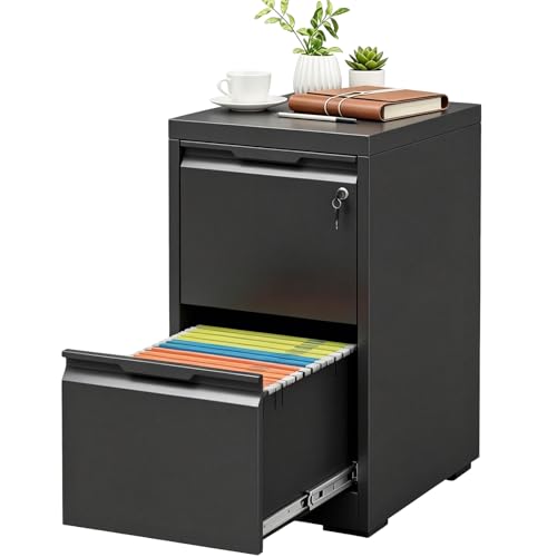 2 Drawer File Cabinet with Lock, Heavy Duty Steel Under Desk Vertical Filing Cabinet for Home Office Use, Printer Stand with Drawers, for A4/Letter-Size Files, Easy to Assemble,Black - color: Black, size: 2 Drawer-15"W