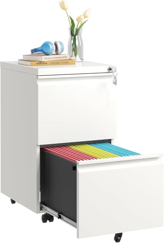 Guizeeopo 2 Drawer Locking File Cabinet, Fully Assembled Heavy-Duty Metal Filing Cabinets for Home Office, Quiet Slides, Anti-Tipping Wheels, Fits A4/Letter/Legal, Matte White - color: 03-b White