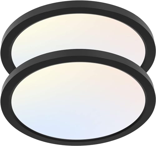 hykolity 12 Inch Selectable CCT LED Round Flat Panel Light,2 Pack | 24W 3000K/4000K/5000K, Edge-Lit Flush Mount Ceiling Light Fixture for Kitchen, Bedroom, Laundry and Closet Room,Black - color: Black, size: 12 inch