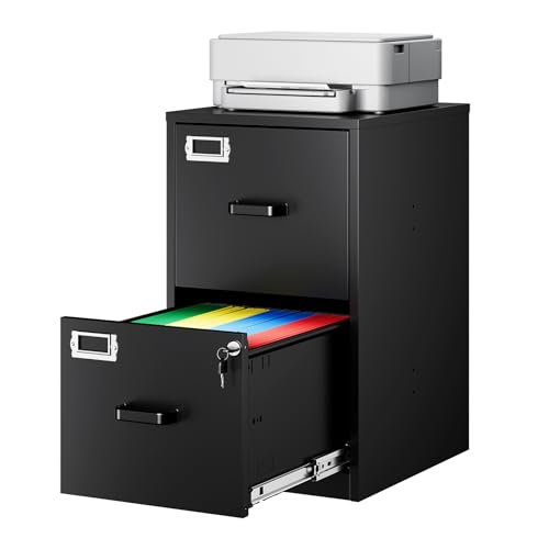 2-Drawer File Cabinet with Lock, Small Filing Cabinet Organizer for Hanging A4/Letter/Legal Size Folder, Under Desk Vertical Filing Cabinets for Home Office, Printer Stand, Black - color: Black, size: 25.4"H x 15"W x 17.7"D
