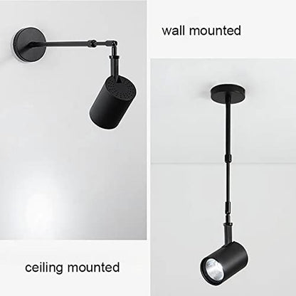 ikanta Painting Display Spotlights 24W 3 Temperature 3000K 4000K 6000K Swing Arm Lights Wall Mount Hardwired,Ceiling Mounted Picture Lights Spotlights for Accent Task Wall Art Exhibition