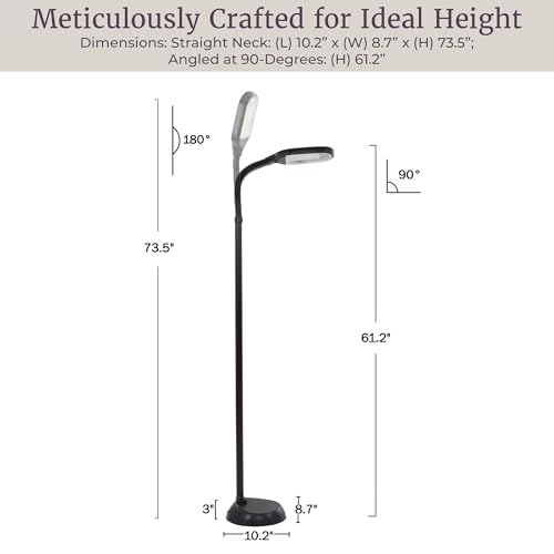 Floor Lamp - Full Spectrum Natural Sunlight Lamp with Bendable Neck - Reading, Craft, Studying, and Esthetician Light by Lavish Home (Black)