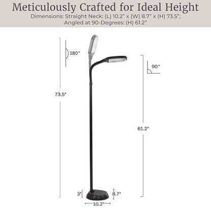 Floor Lamp - Full Spectrum Natural Sunlight Lamp with Bendable Neck - Reading, Craft, Studying, and Esthetician Light by Lavish Home (Black)