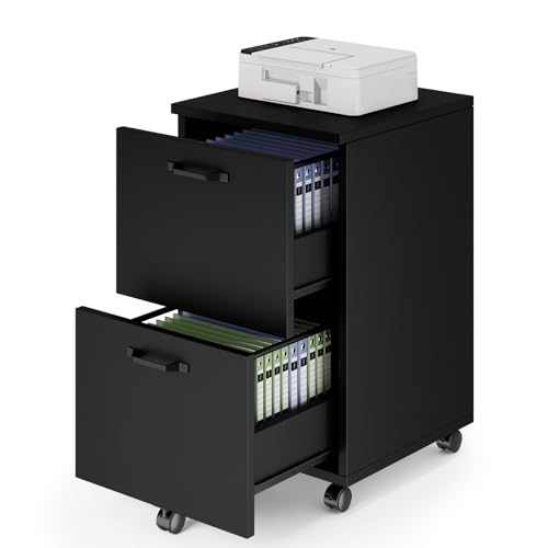 DUMOS 2 Drawer Filing Cabinet, Rolling Wood File Cabinet for Home Office, Under Desk Storage with Lockable Wheels, Printer Stand, Office Organizer, Black