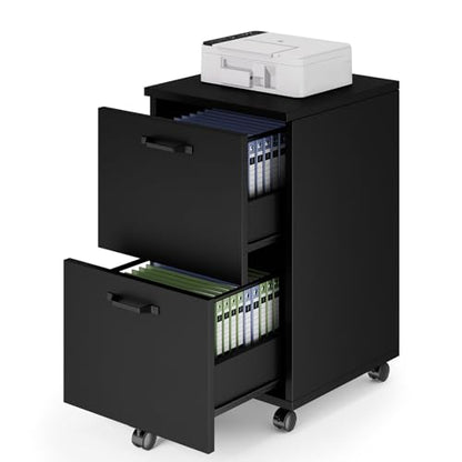 DUMOS 2 Drawer Filing Cabinet, Rolling Wood File Cabinet for Home Office, Under Desk Storage with Lockable Wheels, Printer Stand, Office Organizer, Black