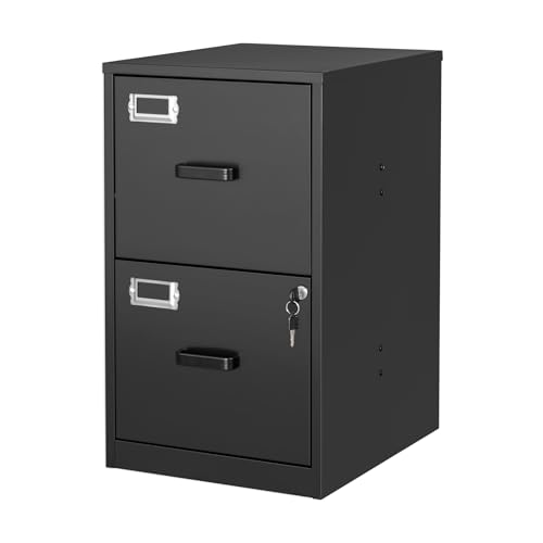 BYNSOE 2 Drawer File Cabinet with Lock Vertical Filing Storage Cabinet Office Home Steel Vertical File Cabinets for Letter Size File Cabinet Locked,Assembly Required - color: Black, size: 25.39"H x 17.71"D x 15"W