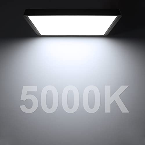 12inch 24W LED Flush Mount Ceiling Light, 5000K Square LED Ceiling Light, Black Flat Panel Lights for Bedroom, Kitchen, Living Room - color: Daylight White, size: Square-Black