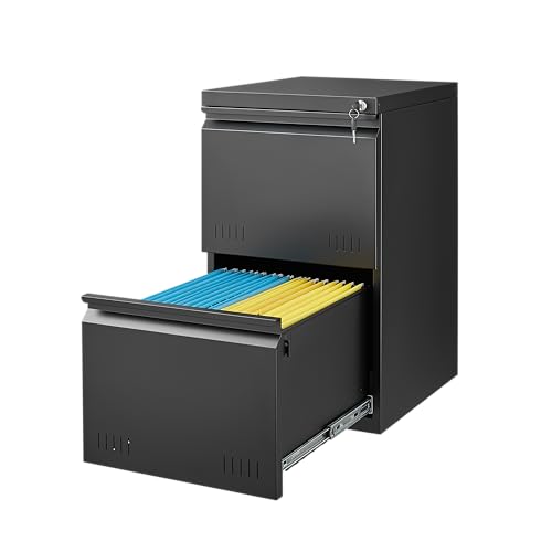 Guizeeopo 2 Drawer File Cabinet with Lock, Vertical File Cabinets for Home Office, Printer Stand, Heavy Duty Steel Office Storage Cabinet for Letter/Legal/A4, Assembly Required(Black) - color: 13-g Black