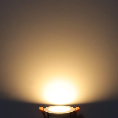 2 Inch LED Downlight, Recessed Lighting Dimmable Ceiling Light, 3W, 3000K Warm White, CRI80 with LED Driver(35W Halogen Equivalent), Black 20 Pack - color: Warm White, size: Black/20 Pack