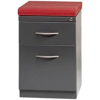 Hirsh 20" D Mobile Pedestal File 2-Drawer Box/File with Arch Pull in Charcoal - color: Charcoal