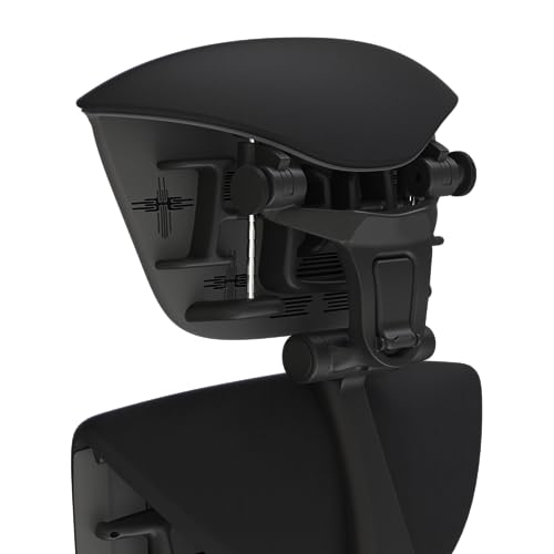 OFFICE LOGIX SHOP Embody Headrest Compatible with Herman Miller Embody Chair (Black Rythem Fabric/Gaphite Frame) - color: Black Rythem Fabric/Gaphite Frame