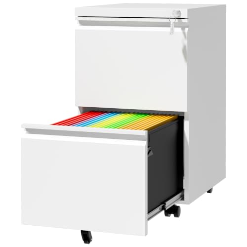 SAWJEC 2 Drawer File Cabinet with Lock Rolling Metal Filing Cabinet White - color: 01w-white